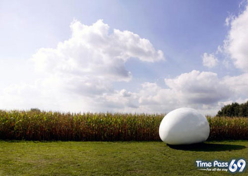 Amazing Mini Egg House by dmvA